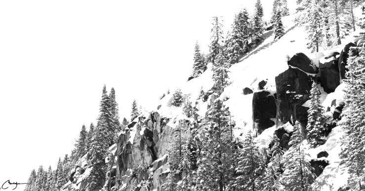 留白_雪树山2_sig