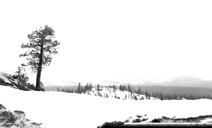 留白_雪树山_sig